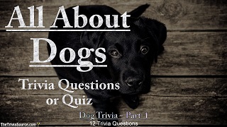 All About Dogs Interactive Trivia Questions or Quiz Thumbnail Image