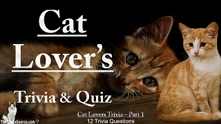 Cat Lovers Interactive Trivia Questions or Quiz Thumbnail Image