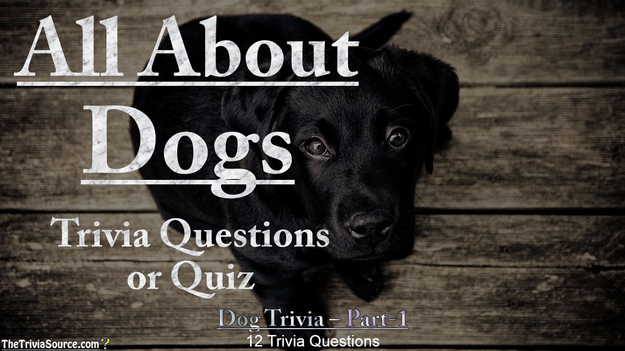 All About Dogs Interactive Trivia Questions or Quiz Thumbnail