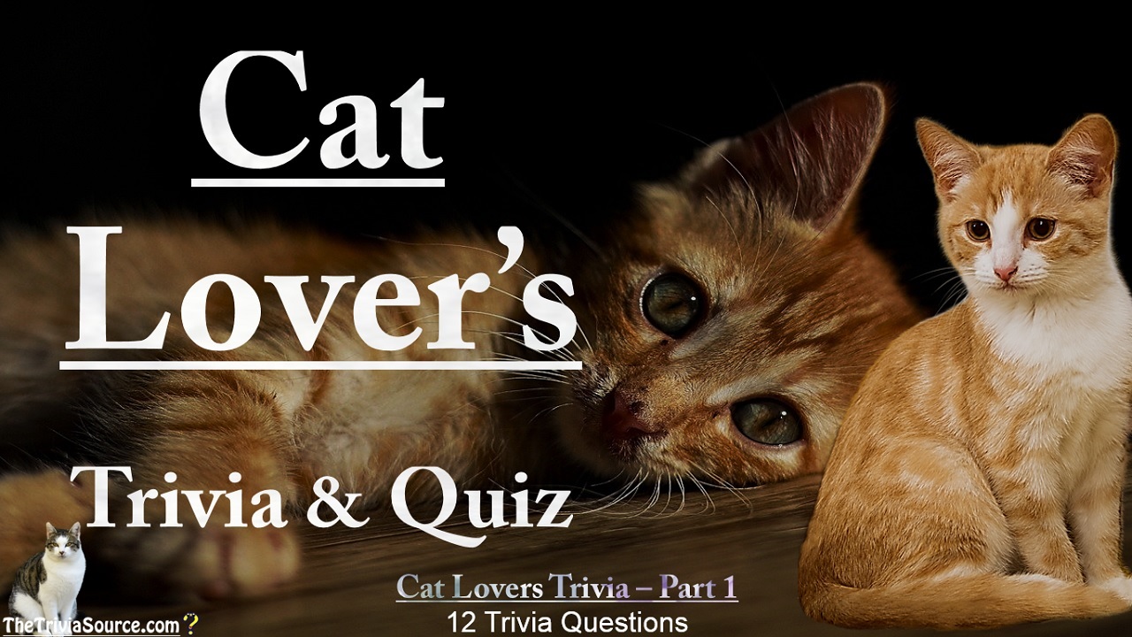 Cat Lovers Interactive Trivia Questions or Quiz Thumbnail