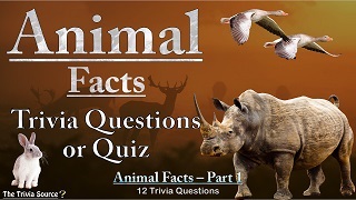 Animal Facts Trivia Questions or Quiz Thumbnail Image