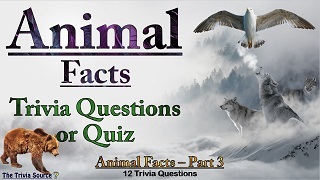 Animal Facts Trivia Questions or Quiz Thumbnail Image