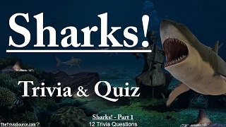 Sharks Trivia Questions or Quiz Thumbnail Image