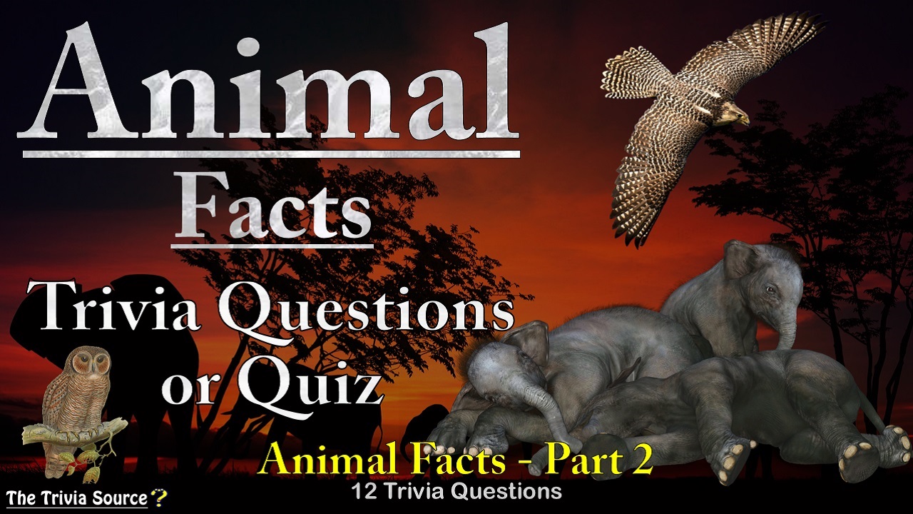 Animal Facts Trivia Questions or Quiz Thumbnail