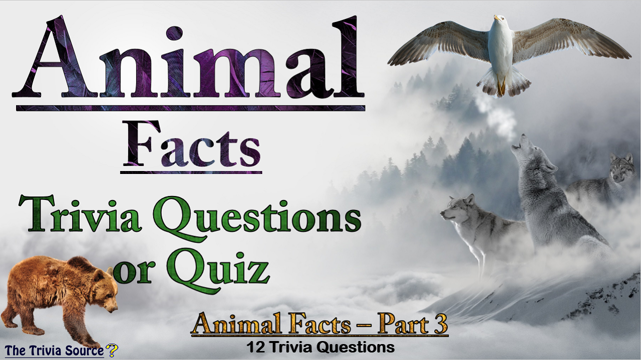 Animal Facts Interactive Trivia Questions or Quiz - Part 3