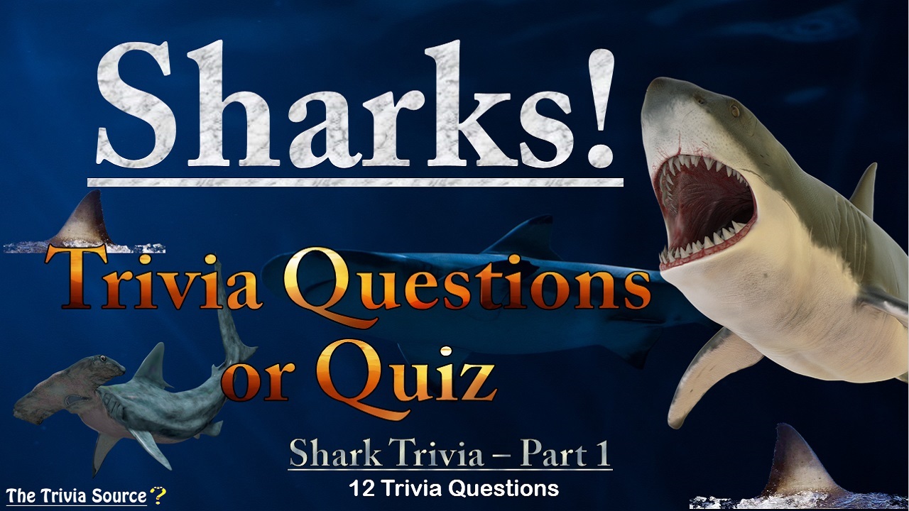 Sharks Trivia Questions or Quiz Thumbnail